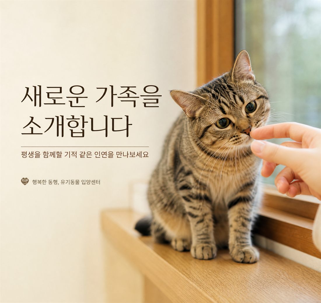 새로운 가족을 소개합니다